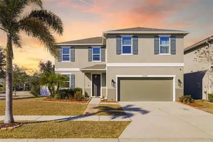 WIMAUMA FL Home