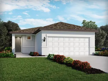 ZEPHYRHILLS FL Home