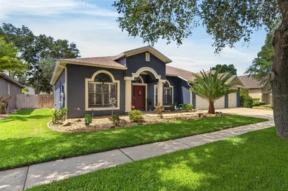 VALRICO FL Home