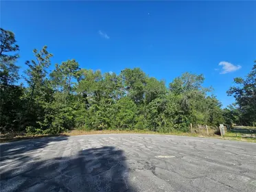 BROOKSVILLE FL Property