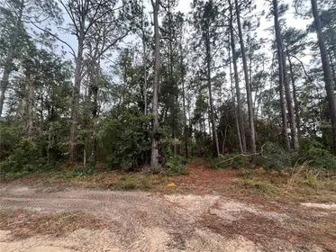 INTERLACHEN FL Property