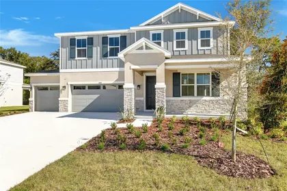 MOUNT DORA FL Home