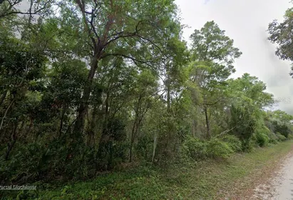 OLD TOWN FL Property