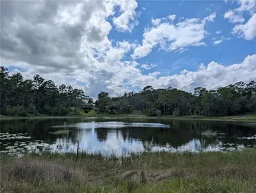 OCKLAWAHA FL Property