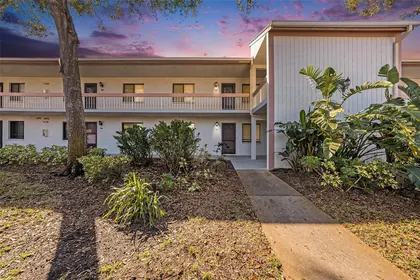 OLDSMAR FL Home
