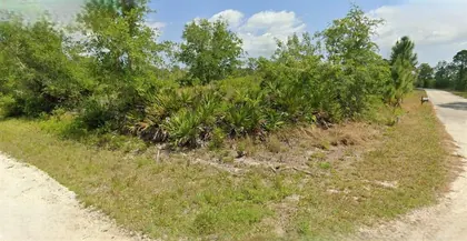 LAKE PLACID FL Property