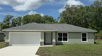 SUMMERFIELD FL Home