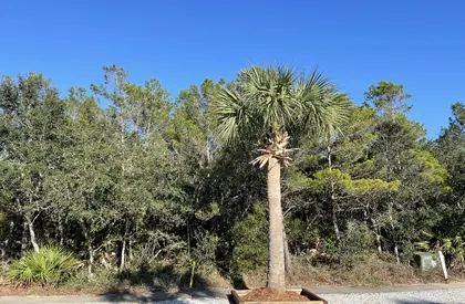 Panama City Beach FL Property