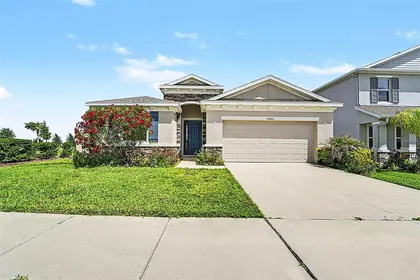 WESLEY CHAPEL FL Home