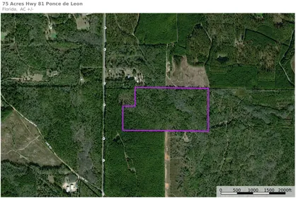 Ponce De Leon FL Property