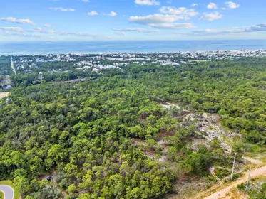 Inlet Beach FL Property