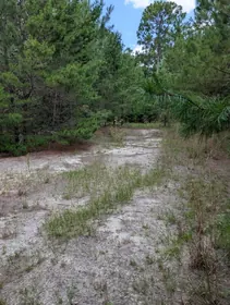 Freeport FL Property