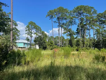 Santa Rosa Beach FL Property