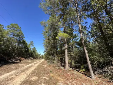 Crestview FL Property