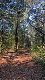 Laurel Hill FL Property