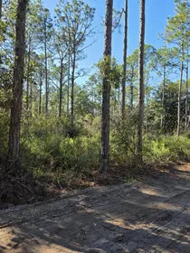 Santa Rosa Beach FL Property