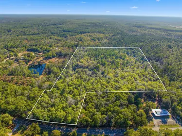 Ponce De Leon FL Property