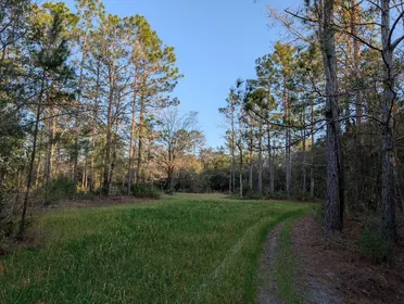 Crestview FL Property