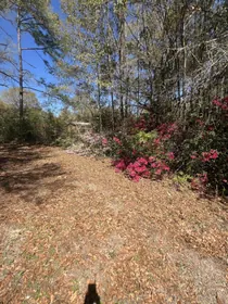 Baker FL Property
