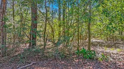 Ponce De Leon FL Property