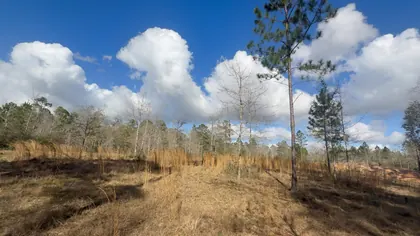 Milton FL Property