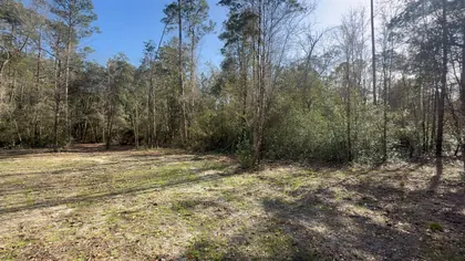 Milton FL Property