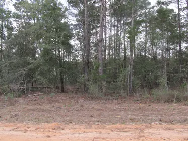 DeFuniak Springs FL Property