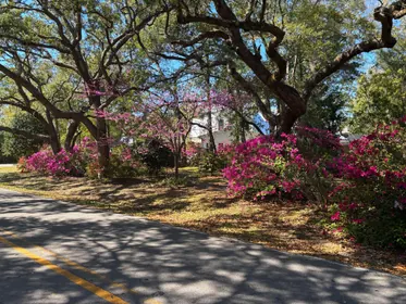 Santa Rosa Beach FL Property