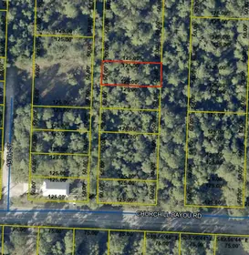 Santa Rosa Beach FL Property