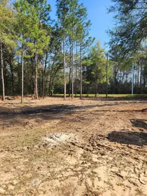 Ponce De Leon FL Property
