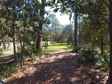 Santa Rosa Beach FL Property