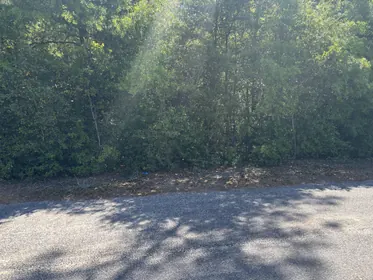 DeFuniak Springs FL Property