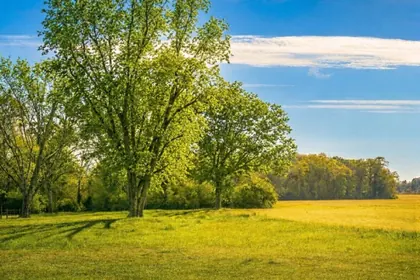 Baker FL Property