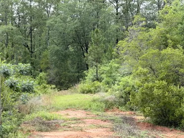 Baker FL Property