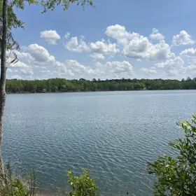 Ponce De Leon FL Property