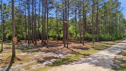 Santa Rosa Beach FL Property
