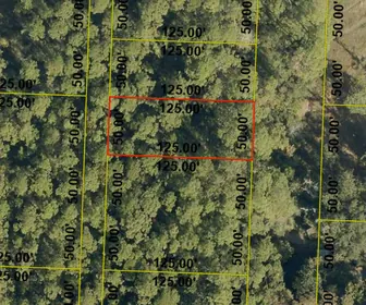 Santa Rosa Beach FL Property