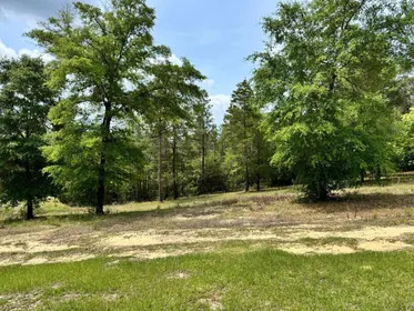 DeFuniak Springs FL Property