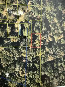 Ponce De Leon FL Property