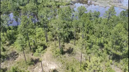 Milton FL Property
