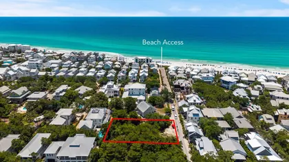 Inlet Beach FL Property