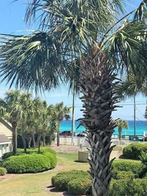 Miramar Beach FL Home
