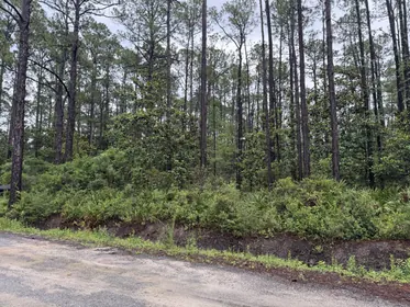 Santa Rosa Beach FL Property