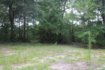DeFuniak Springs FL Property