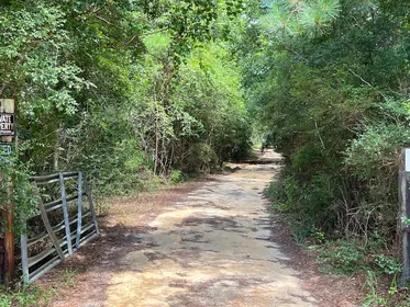 Ponce De Leon FL Property