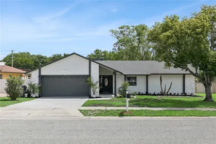 APOPKA FL Home