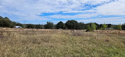 HOWEY IN THE HILLS FL Property
