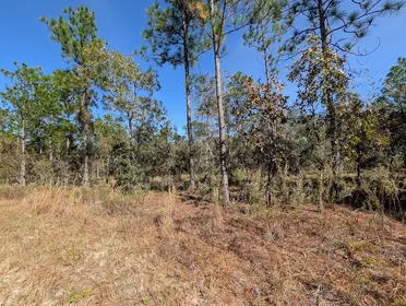 DUNNELLON FL Property