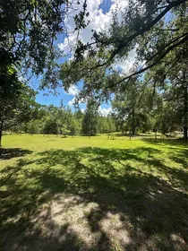 LIVE OAK FL Property