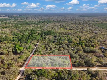BRONSON FL Property